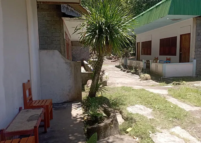 Mamaroos Reborn Home Stay