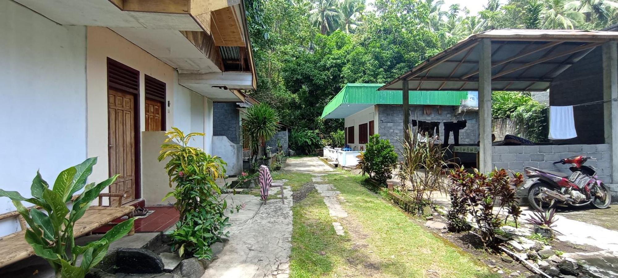 Homestay Mamaroos Reborn *